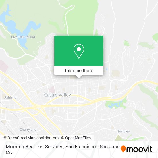 Momma Bear Pet Services map