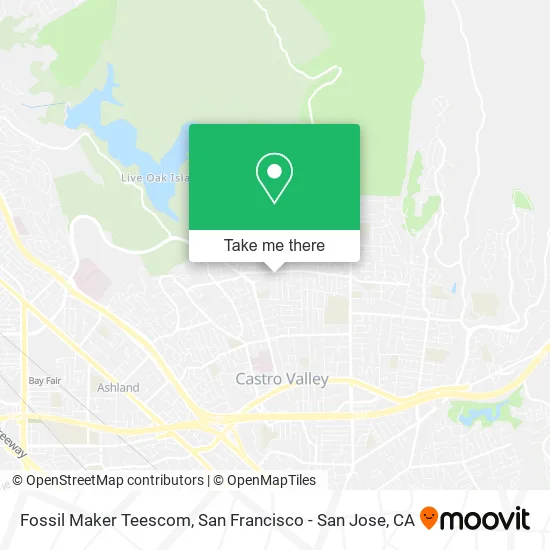 Mapa de Fossil Maker Teescom