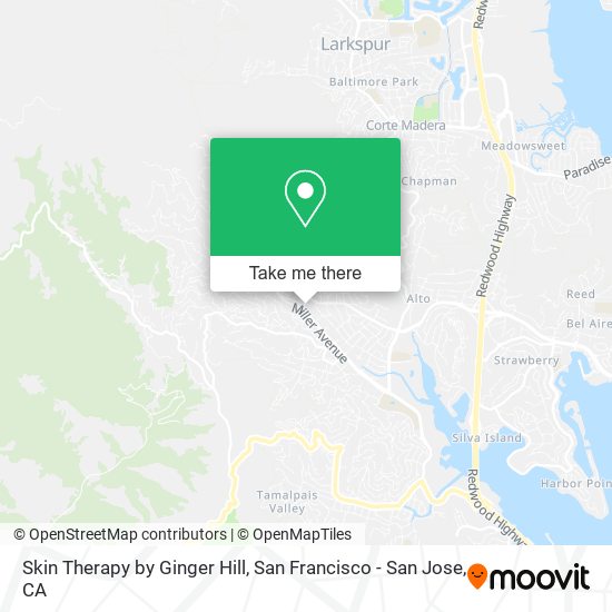 Mapa de Skin Therapy by Ginger Hill