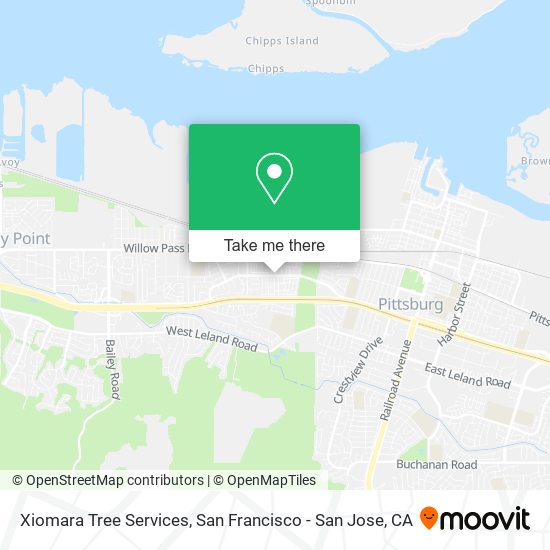 Mapa de Xiomara Tree Services