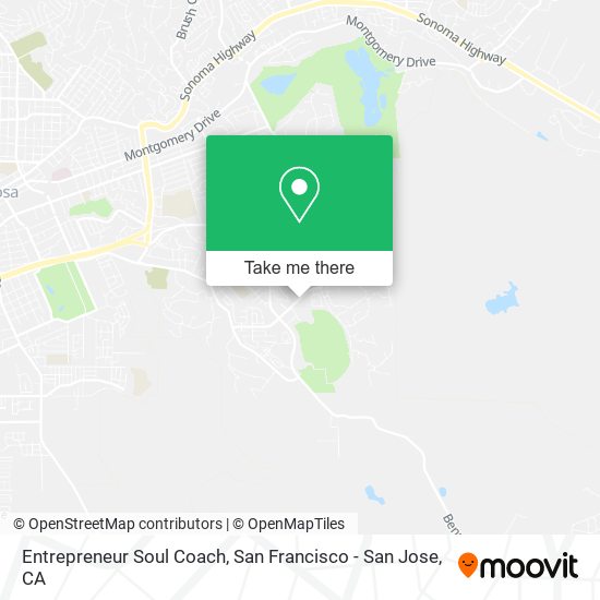 Entrepreneur Soul Coach map