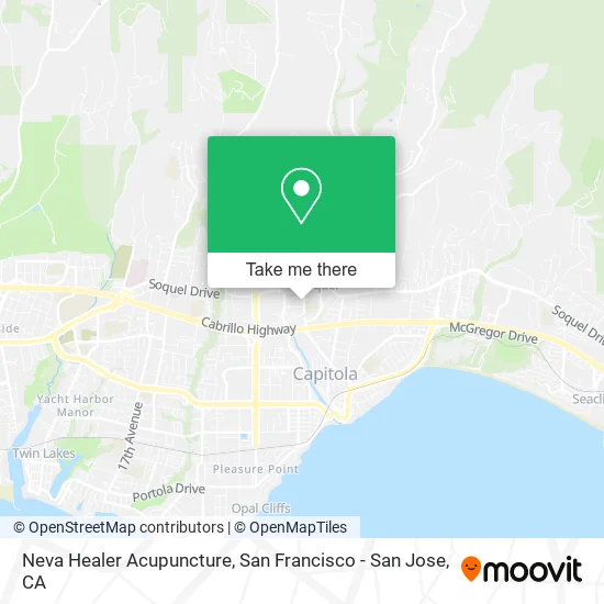 Neva Healer Acupuncture map