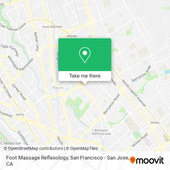 Foot Massage Reflexology map