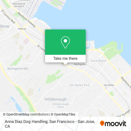 Anna Diaz Dog Handling map