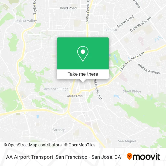 AA Airport Transport map