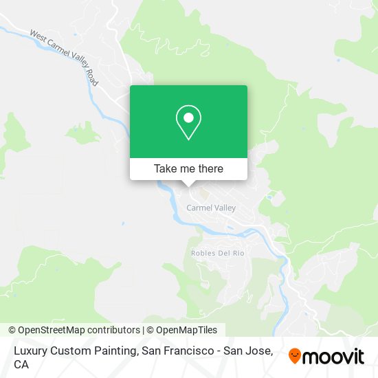 Luxury Custom Painting map