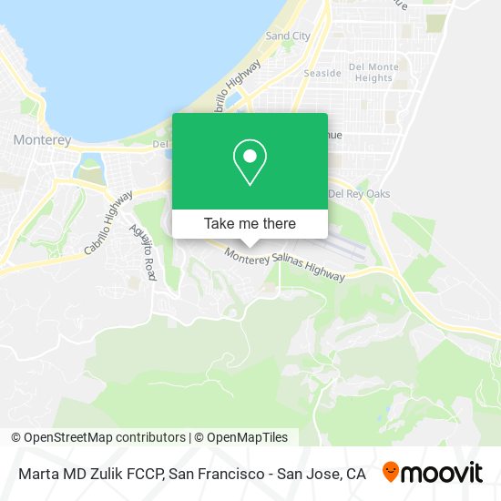 Marta MD Zulik FCCP map