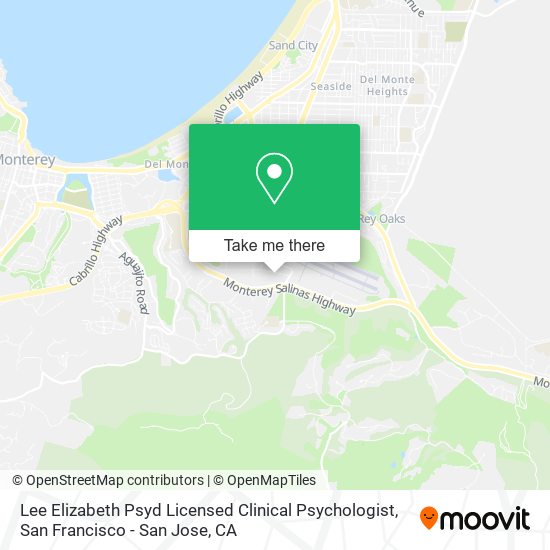 Lee Elizabeth Psyd Licensed Clinical Psychologist map