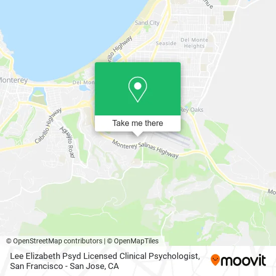 Mapa de Lee Elizabeth Psyd Licensed Clinical Psychologist