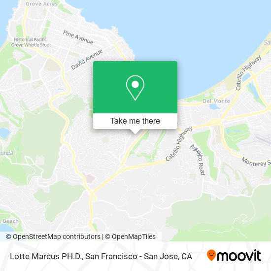 Mapa de Lotte Marcus PH.D.