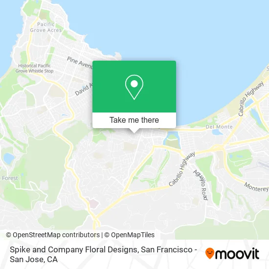 Spike and Company Floral Designs map