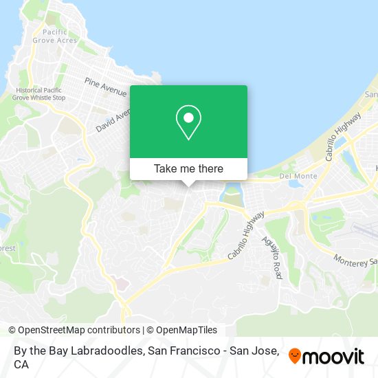 By the Bay Labradoodles map