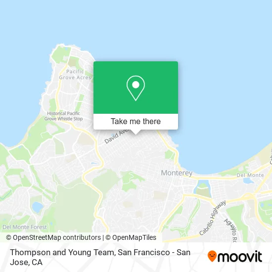 Thompson and Young Team map