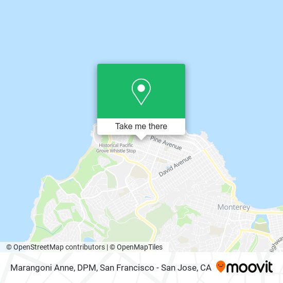 Marangoni Anne, DPM map