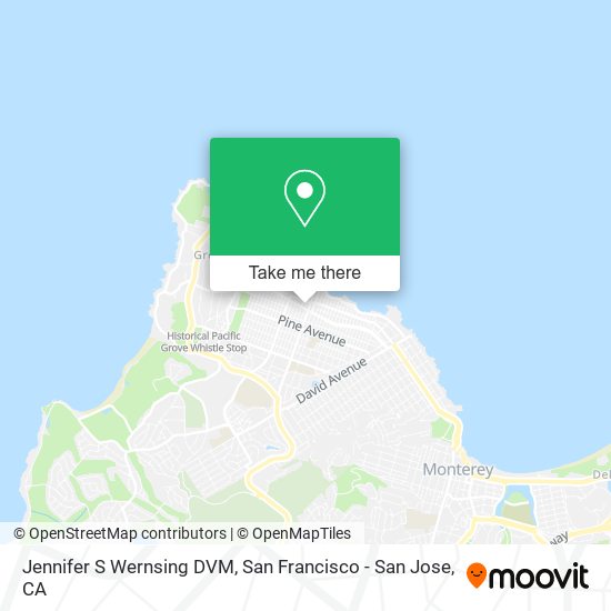 Jennifer S Wernsing DVM map