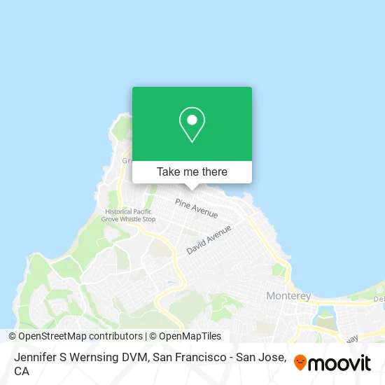 Mapa de Jennifer S Wernsing DVM