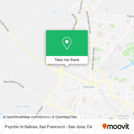 Psychic in Salinas map