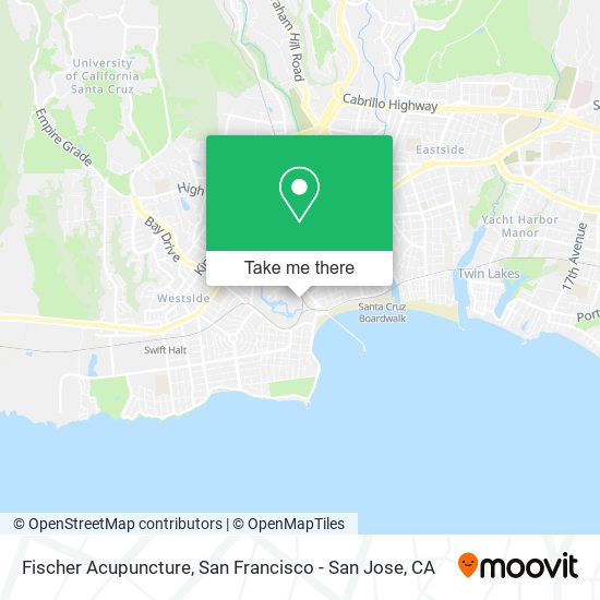 Fischer Acupuncture map
