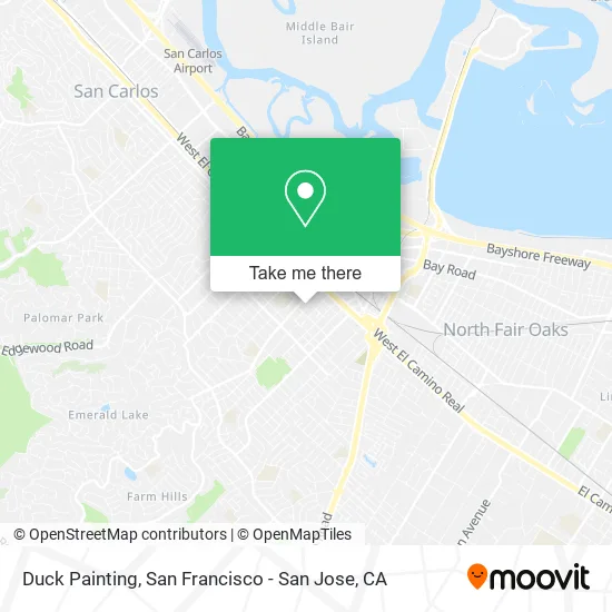 Duck Painting map