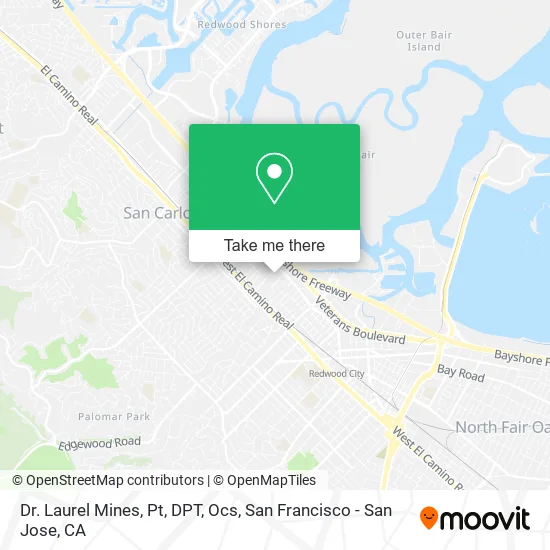 Mapa de Dr. Laurel Mines, Pt, DPT, Ocs