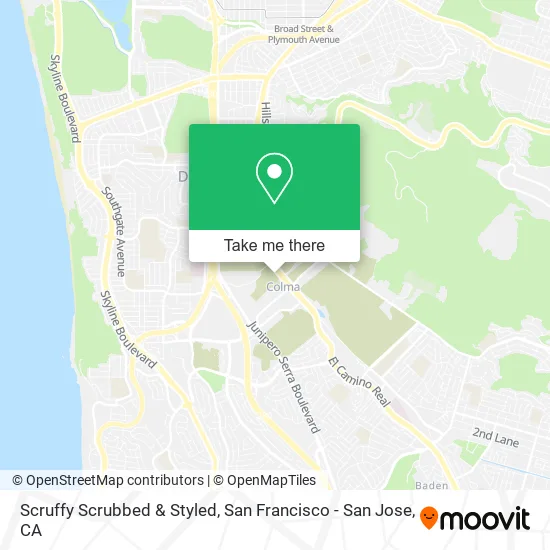 Mapa de Scruffy Scrubbed & Styled