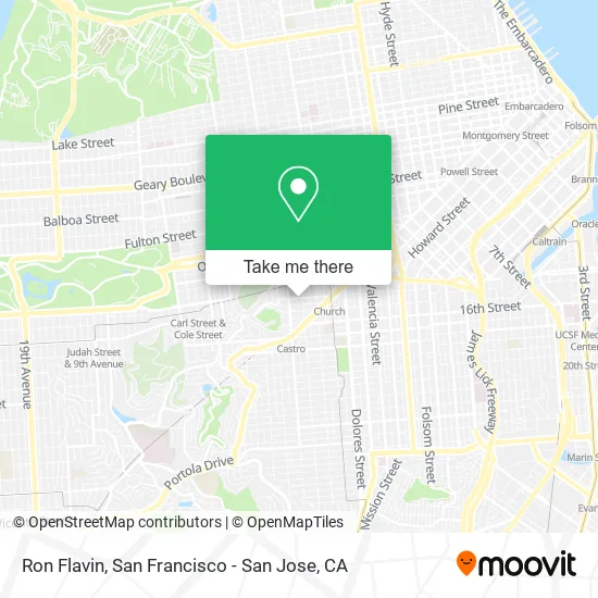 Ron Flavin map