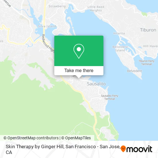 Mapa de Skin Therapy by Ginger Hill