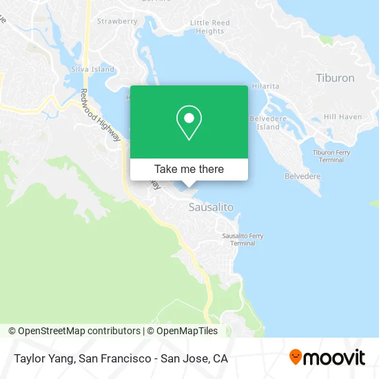 Taylor Yang map