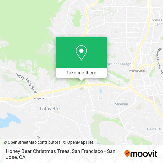 Honey Bear Christmas Trees map