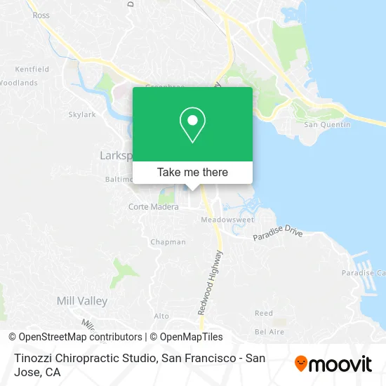 Tinozzi Chiropractic Studio map