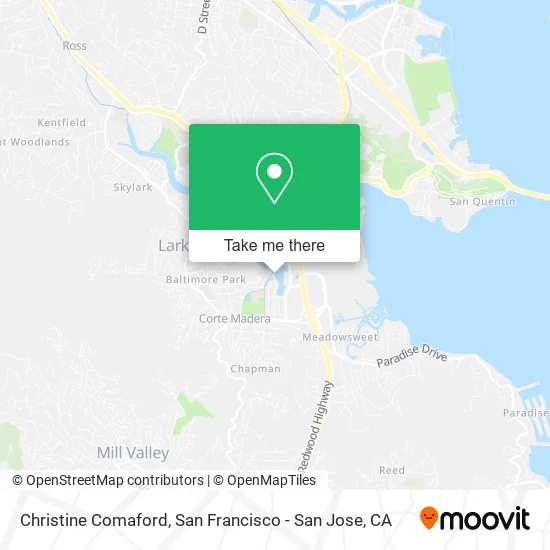 Christine Comaford map