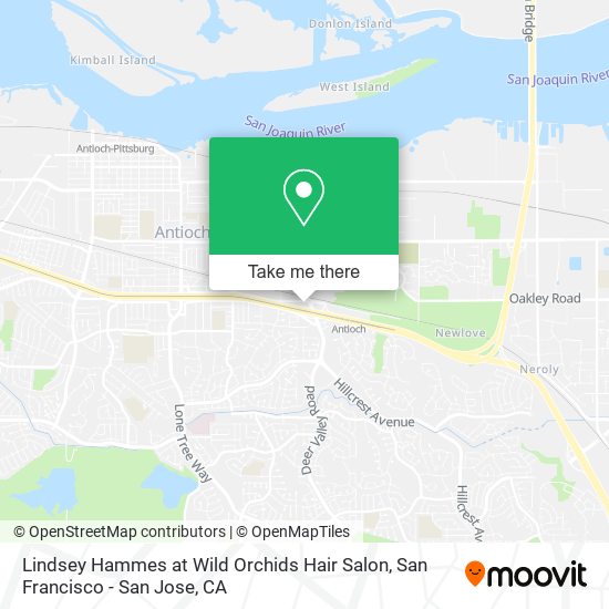 Lindsey Hammes at Wild Orchids Hair Salon map