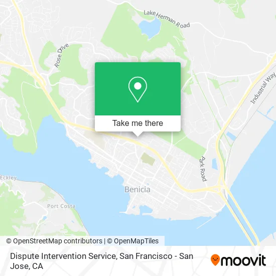 Dispute Intervention Service map