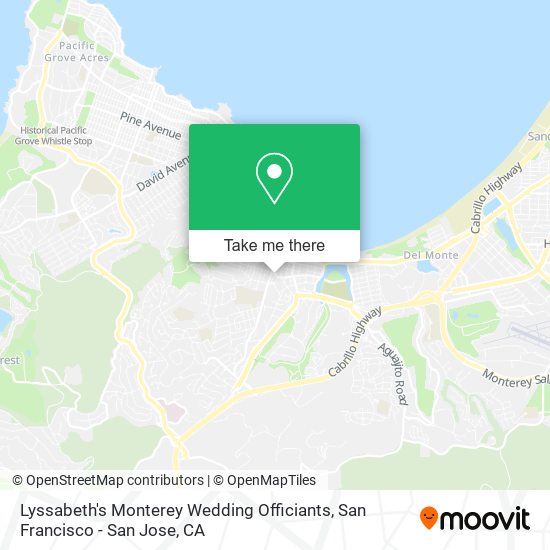 Lyssabeth's Monterey Wedding Officiants map