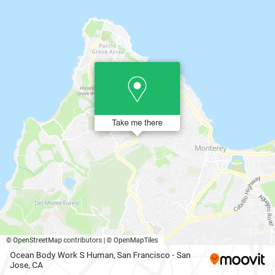 Ocean Body Work S Human map