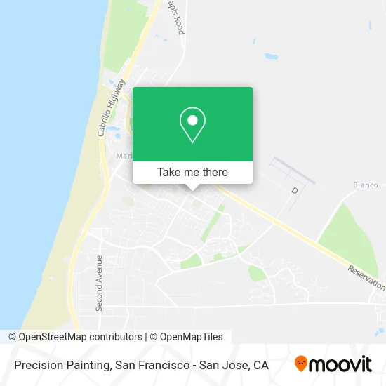 Precision Painting map