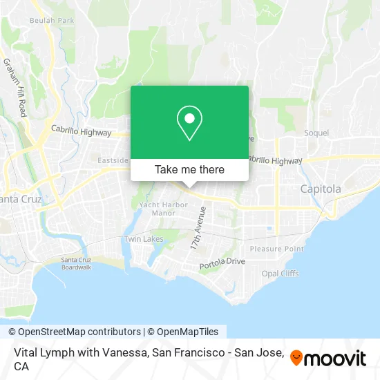 Vital Lymph with Vanessa map