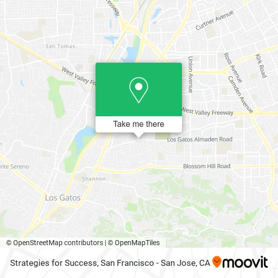 Strategies for Success map