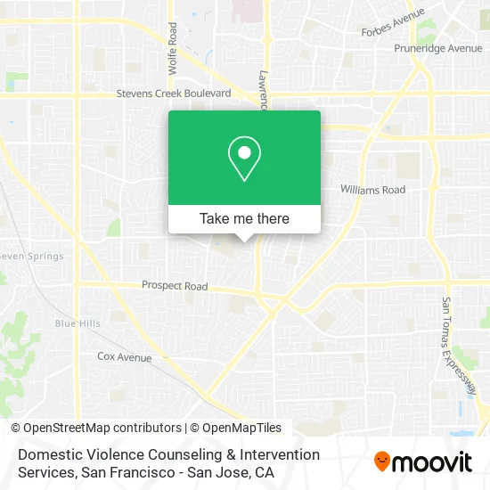 Mapa de Domestic Violence Counseling & Intervention Services