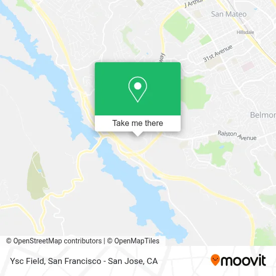 Ysc Field map