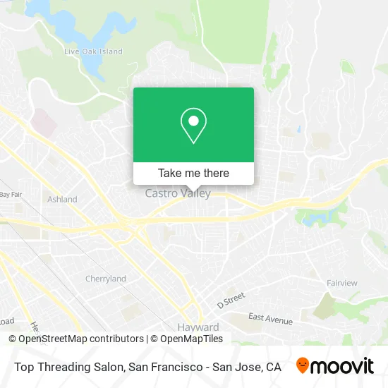 Mapa de Top Threading Salon