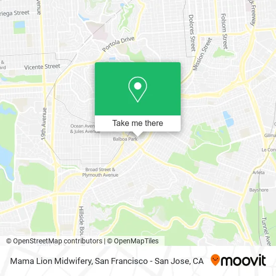 Mama Lion Midwifery map