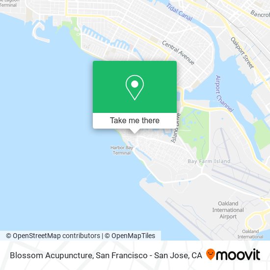 Blossom Acupuncture map