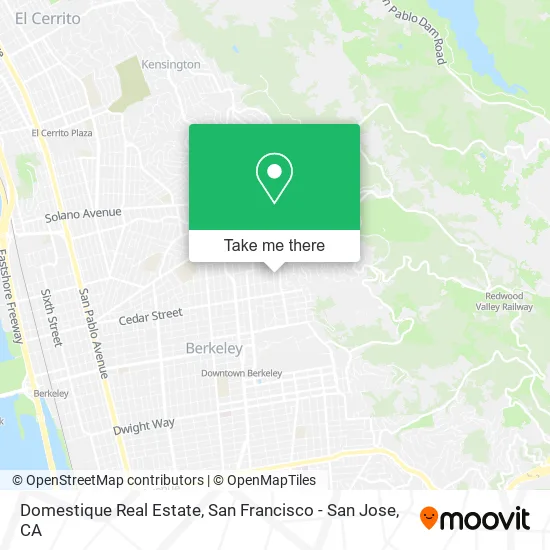 Mapa de Domestique Real Estate