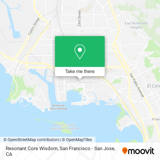 Resonant Core Wisdom map