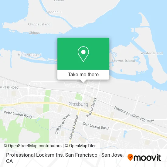 Professional Locksmiths map