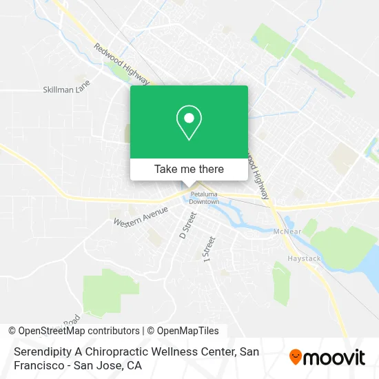 Serendipity A Chiropractic Wellness Center map