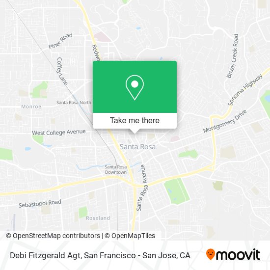 Debi Fitzgerald Agt map