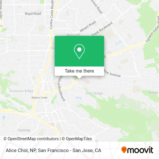 Mapa de Alice Choi, NP