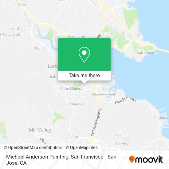 Mapa de Michael Anderson Painting